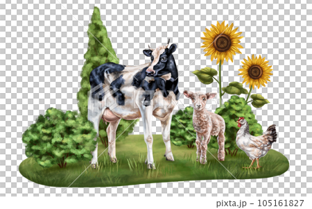 Horizontal composition of cow, lamb and chicken. Farm animals graze in a field with bushes and sunflowers. Digital illustration on a white background. Template for design, postcards, posters Horizontal composition of cow, lamb and chicken. Farm animals graze in a field with bushes and sunflowers. Digital illustration on a white background. Template for design, postcards, posters 105161827