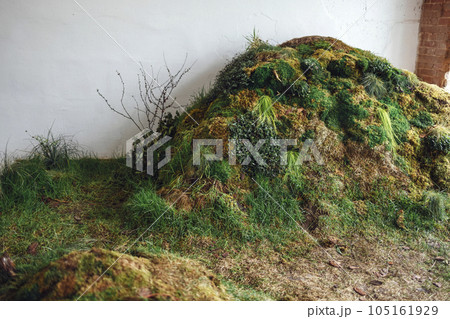 A room of an abandoned house with a pile of earth and beautiful moss, grass and branches on it. A room of an abandoned house with a pile of earth and beautiful moss, grass and branches on it. 105161929