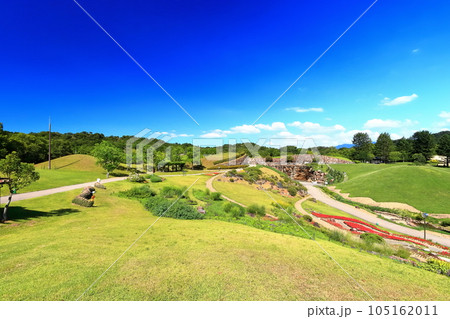 【香川県】夏の国営讃岐まんのう公園（竜頭の里） 105162011