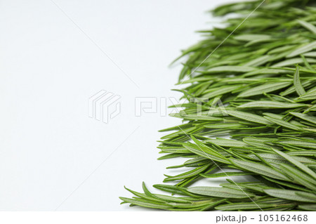 Seasoning and spices, rosemary, concept of seasoning 105162468