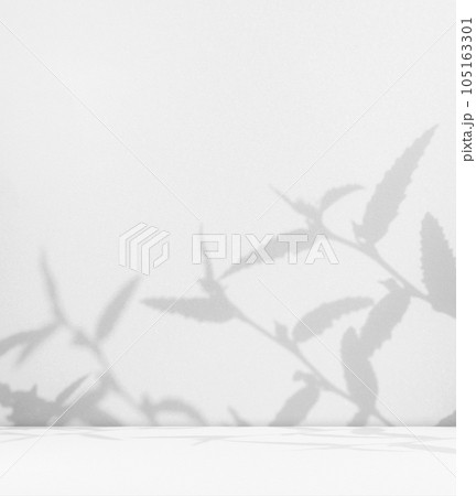 Background Abstract Leaves Shadow Overlay Abstract on Table Wall Studio Room,Grey Summer color Tropical with Silhouette Plant Leaves on Floor Counter Bar,Empty Design Food Kitchen Shelf. Background Abstract Leaves Shadow Overlay Abstract on Table Wall Studio Room,Grey Summer color Tropical with Silhouette Plant Leaves on Floor Counter Bar,Empty Design Food Kitchen Shelf. 105163301