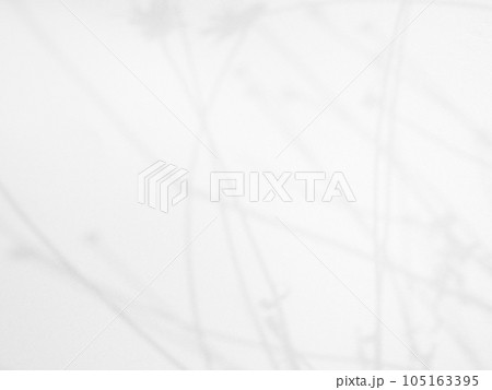 Abstract Light Shadow Leaves Background,Nature Overlay on Texture Pattern Cement Construction Window Buiding House,Backdrop Autumn or Summer,Wall Floor Grey Marble Stone Room grunge. Abstract Light Shadow Leaves Background,Nature Overlay on Texture Pattern Cement Construction Window Buiding House,Backdrop Autumn or Summer,Wall Floor Grey Marble Stone Room grunge. 105163395