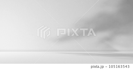 Shadow Studio Room Background,Abstract Sun Light Overlay Leaf Nature on Cement Wall Floor Kitchent Counter Bar Shelf Desk Template Workplace,Loft Marble Table Interior Space Workshop Concrete Texture. Shadow Studio Room Background,Abstract Sun Light Overlay Leaf Nature on Cement Wall Floor Kitchent Counter Bar Shelf Desk Template Workplace,Loft Marble Table Interior Space Workshop Concrete Texture. 105163543