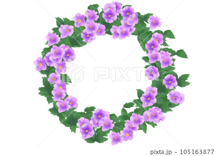 ツンベルギアの花のカード11 105163877
