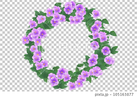 ツンベルギアの花のカード11 105163877