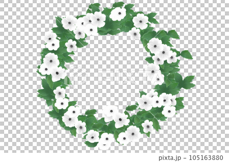 ツンベルギアの花のカード14 105163880