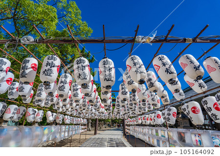 兵庫県西宮市 真夏の西宮神社の御神燈 兵庫県西宮市 真夏の西宮神社の御神燈 105164092