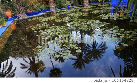 マジョレル庭園の景色【モロッコ・マラケシュ】 マジョレル庭園の景色【モロッコ・マラケシュ】 105164829