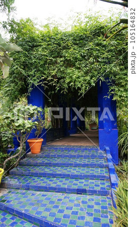 マジョレル庭園の景色【モロッコ・マラケシュ】 105164832