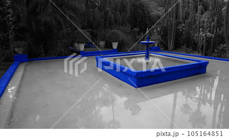 マジョレル庭園の景色【モロッコ・マラケシュ】 マジョレル庭園の景色【モロッコ・マラケシュ】 105164851