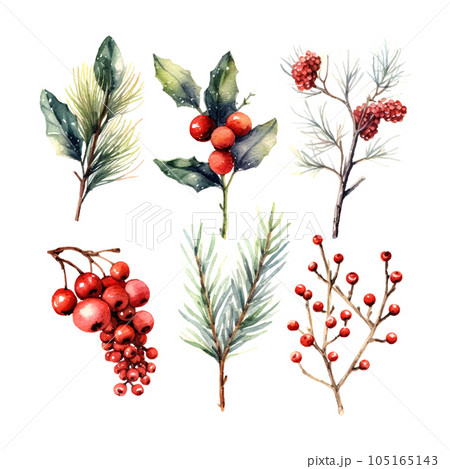 Retro christmas branch set watercolor, great design for any purposes. Vector botanical illustration. Retro christmas branch set watercolor, great design for any purposes. Vector botanical illustration. 105165143