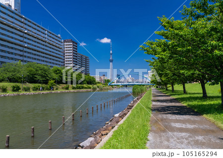 《東京都》スカイツリーとふれあい橋・旧中川水辺公園 105165294