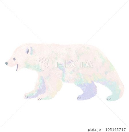 歩いているシロクマの子供 105165717