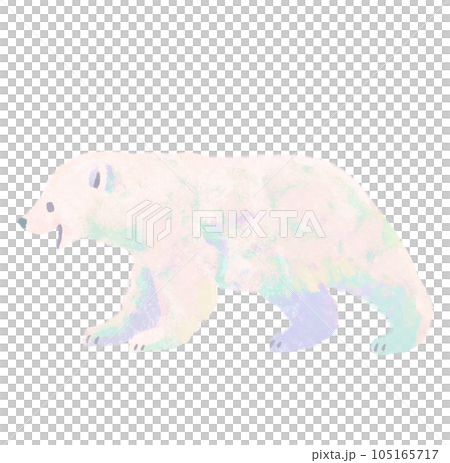 歩いているシロクマの子供 105165717