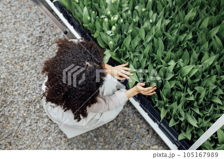 Smiling female darkskinned greenhouse worker checks condition of seedlings 105167989