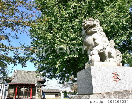 尾島町標(おじままちしるべ)｢雷電神社・雷電宮(2010.11)｣ 上手｢奉｣の狛犬。本殿と境内の木 105168054