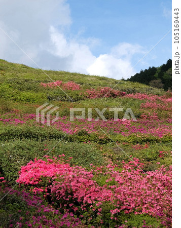姫の沢公園（熱海/静岡県） 105169443