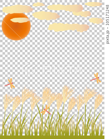 ススキと赤とんぼと夕暮れの秋をイメージしたイラスト　縦書きバージョン 105171248