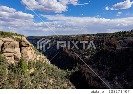 Sunny view of the historical ruins in Mesa Verde National Park 105171407