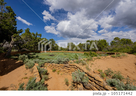 Sunny view of the historical Coyote Village in Mesa Verde National Park 105171442