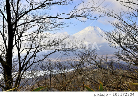 道志山塊の小天狗より望む富士山 道志山塊の小天狗より望む富士山 105172504