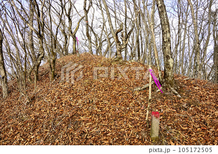道志山塊の大天狗山頂 道志山塊の大天狗山頂 105172505