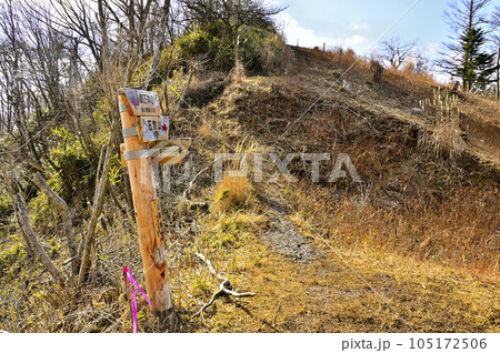 道志山塊の石割山　送電線鉄塔の分岐 105172506