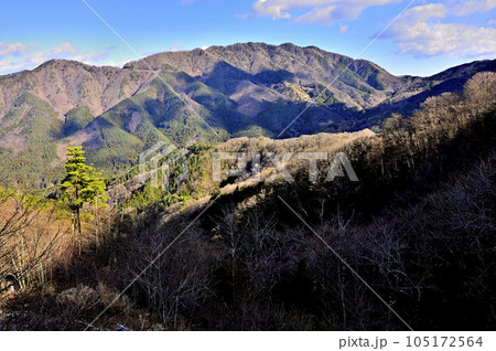 道志山塊の御正体山より二十六夜山と赤岩と今倉山を望む 道志山塊の御正体山より二十六夜山と赤岩と今倉山を望む 105172564