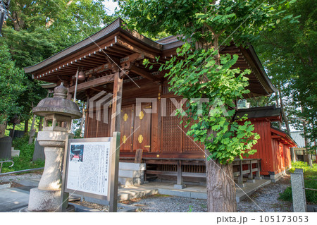 日枝神社　本社　川越市 105173053