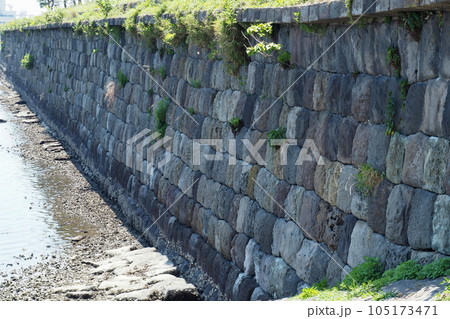 台場公園(国史跡 第三台場跡)の土台の石垣【東京都港区】 台場公園(国史跡 第三台場跡)の土台の石垣【東京都港区】 105173471