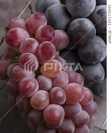 葡萄 105173645