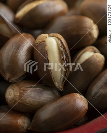 椎の実 105173724