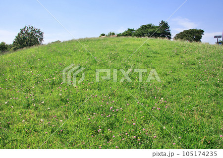 草原の丘がある風景 草原の丘がある風景 105174235