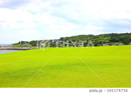 八戸市種差海岸の種差天然芝生地 105174756