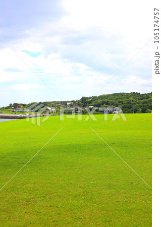 八戸市種差海岸の種差天然芝生地 105174757
