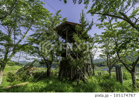 椋梨城跡　主郭　広島県三原市 105174767