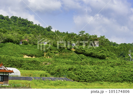 椋梨城跡　全景　広島県三原市 105174806