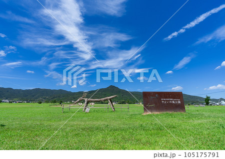 《福岡県》国史跡 吉武高木遺跡「やよいの風公園」 105175791