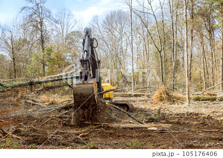 With aid of an excavator worker is removing trees from forest to create building site. 105176406