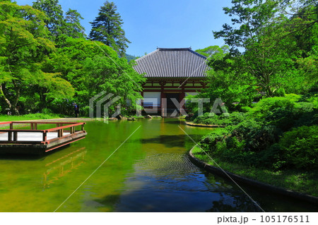 【大阪府】晴天の久安寺の本堂（虚空園　バン字池） 105176511