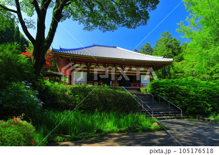 【大阪府】晴天の久安寺の本堂 105176518
