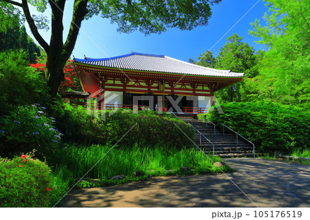 【大阪府】晴天の久安寺の本堂 105176519