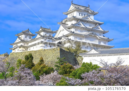 【兵庫県】晴天下の姫路城と満開の桜 105176570
