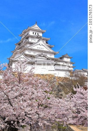 【兵庫県】晴天下の姫路城と満開の桜 105176573