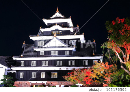 【岡山県】岡山城の紅葉ライトアップ(令和の大改修後) 【岡山県】岡山城の紅葉ライトアップ(令和の大改修後) 105176592