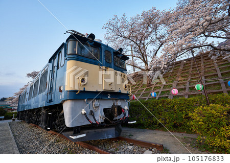 山梨県　勝沼ぶどう郷駅の桜と電気機関車 105176833