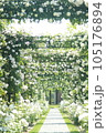 薔薇のある歩道 105176894