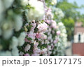 道沿いに咲く白とピンクのバラ 105177175
