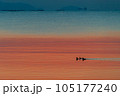 朝日に照らされた海鳥 105177240