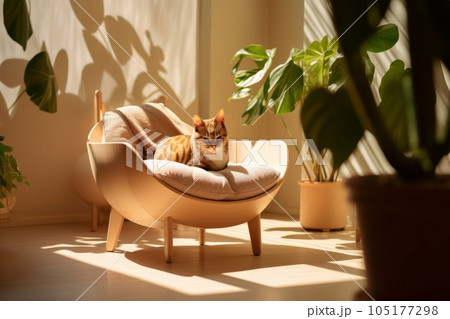 椅子でお昼寝する猫　AI生成画像　AI画像 105177298